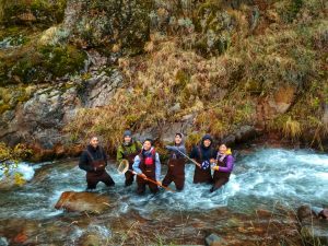IMG-20171007-WA0155-01 IMG-20171007-WA0155-01