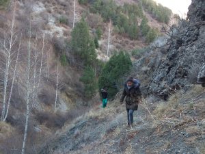 IMG_20171111_103953 IMG_20171111_103953